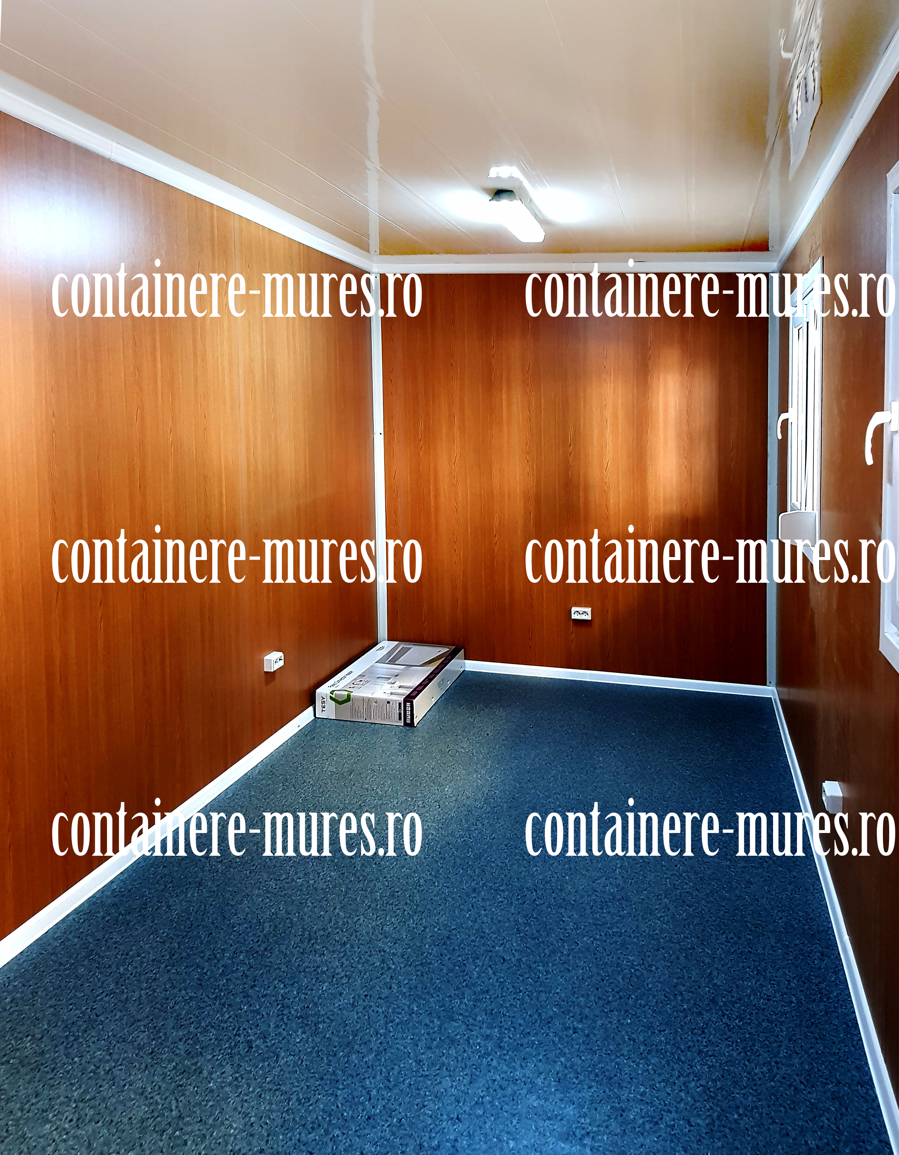 cat costa un container Mures